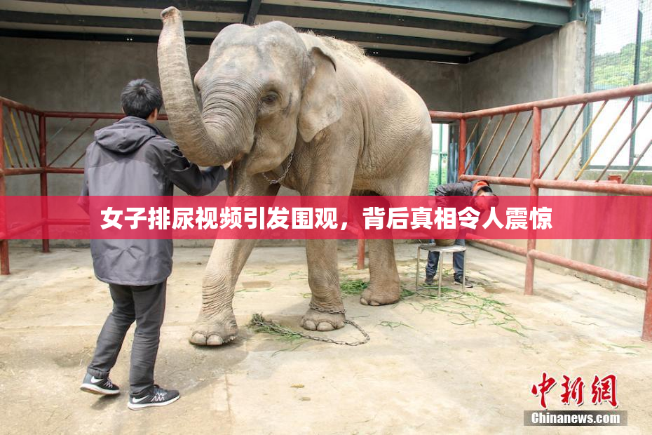 女子排尿视频引发围观，背后真相令人震惊