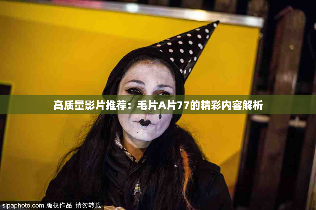 高质量影片推荐：毛片A片77的精彩内容解析
