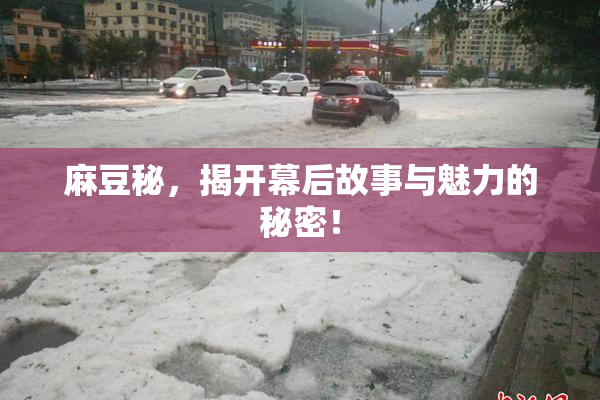麻豆秘，揭开幕后故事与魅力的秘密！
