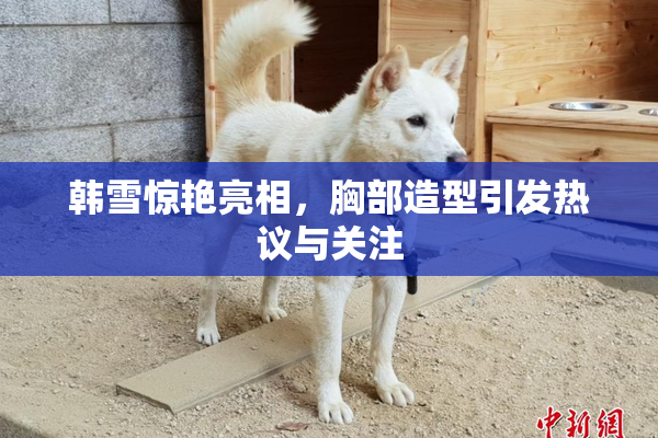 韩雪惊艳亮相，胸部造型引发热议与关注