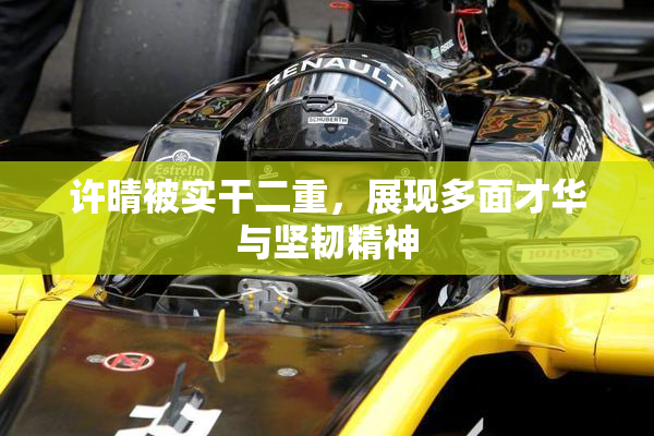 许晴被实干二重，展现多面才华与坚韧精神