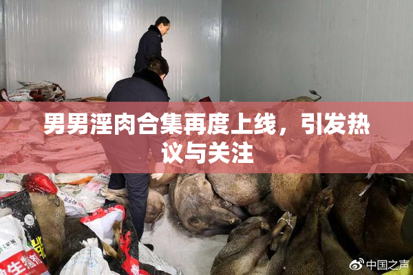 男男淫肉合集再度上线，引发热议与关注