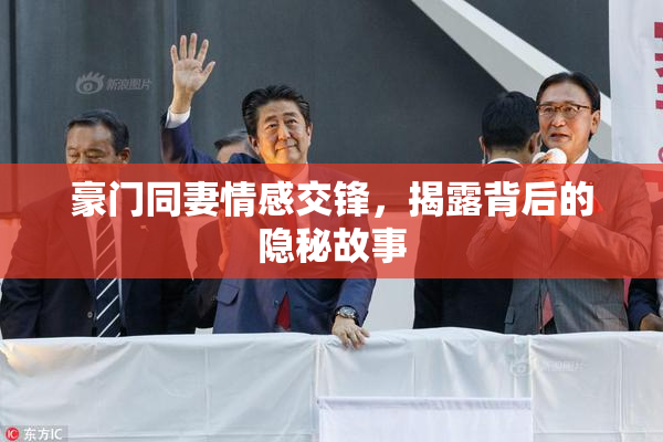 豪门同妻情感交锋，揭露背后的隐秘故事