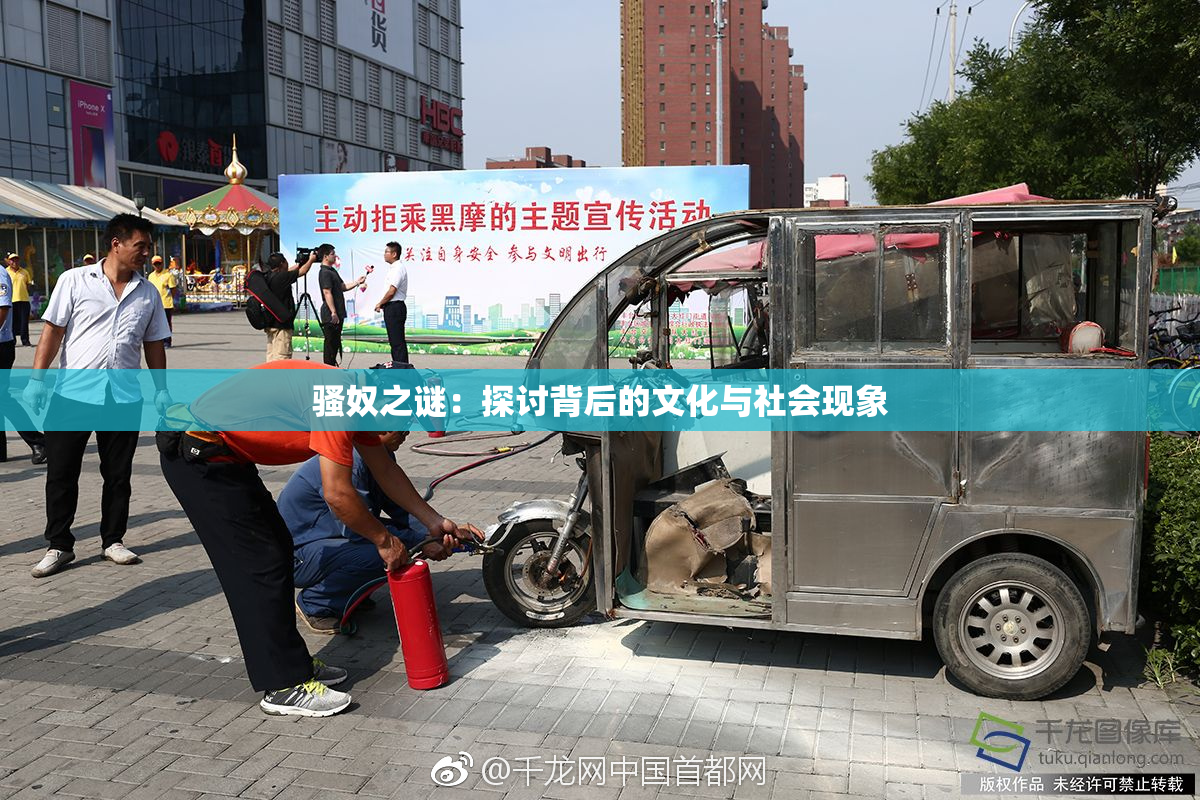 骚奴之谜：探讨背后的文化与社会现象