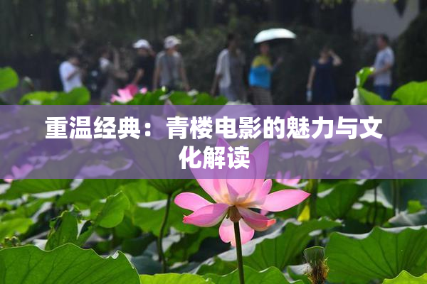 重温经典：青楼电影的魅力与文化解读