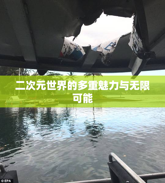 二次元世界的多重魅力与无限可能