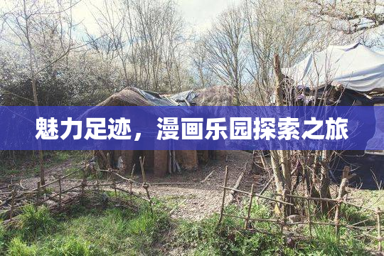 魅力足迹，漫画乐园探索之旅