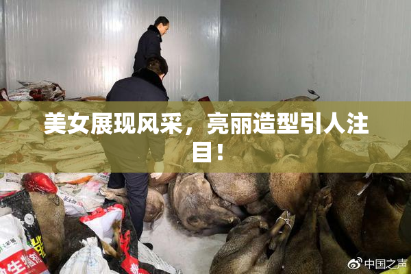 美女展现风采，亮丽造型引人注目！