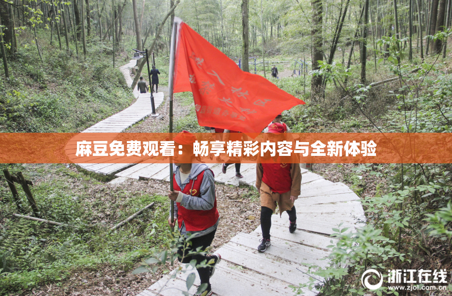 麻豆免费观看：畅享精彩内容与全新体验