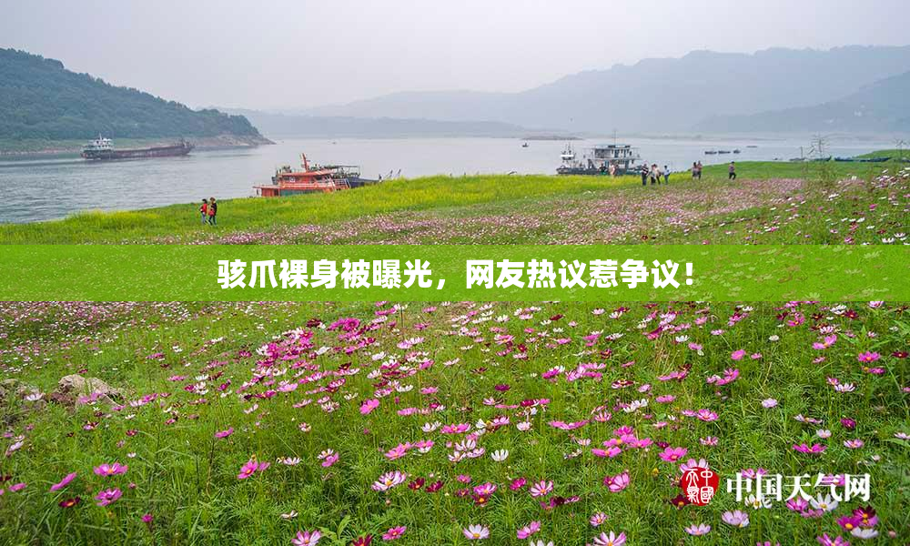 骇爪裸身被曝光，网友热议惹争议！
