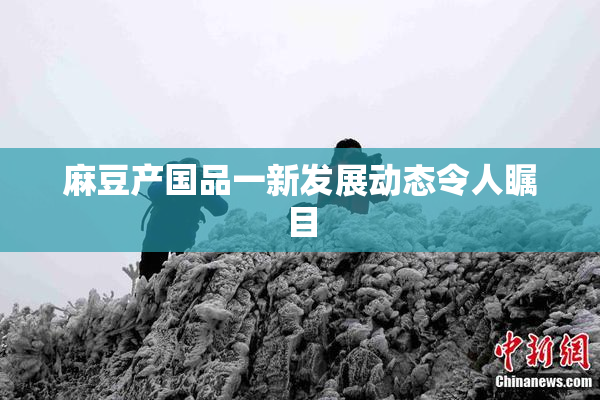 麻豆产国品一新发展动态令人瞩目