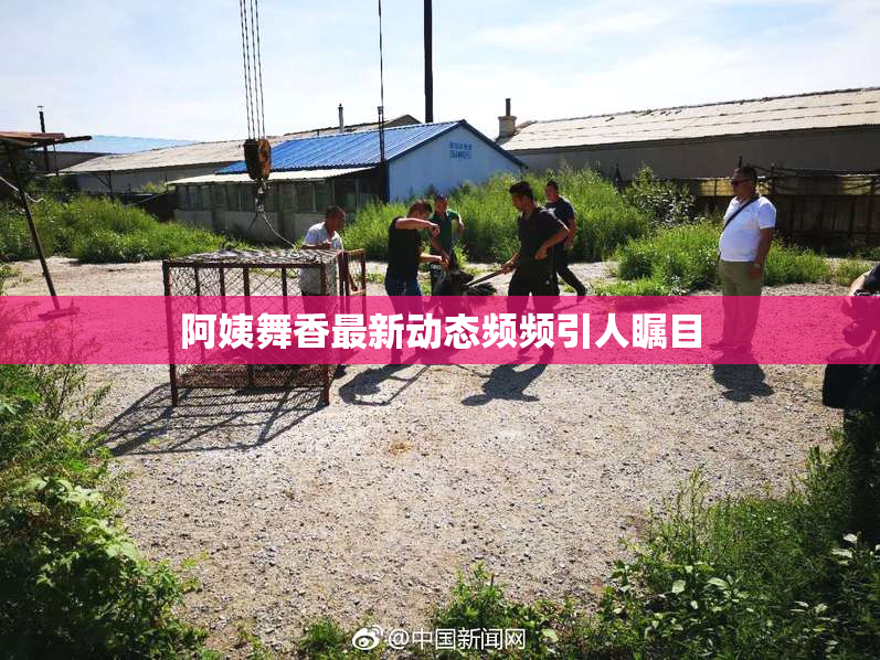 阿姨舞香最新动态频频引人瞩目