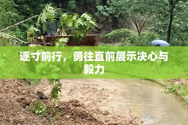 逐寸前行，勇往直前展示决心与毅力