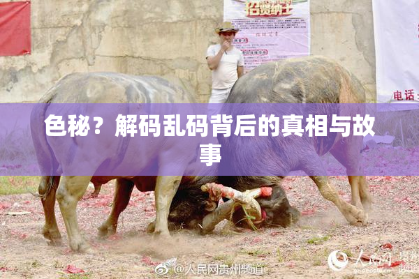色秘？解码乱码背后的真相与故事