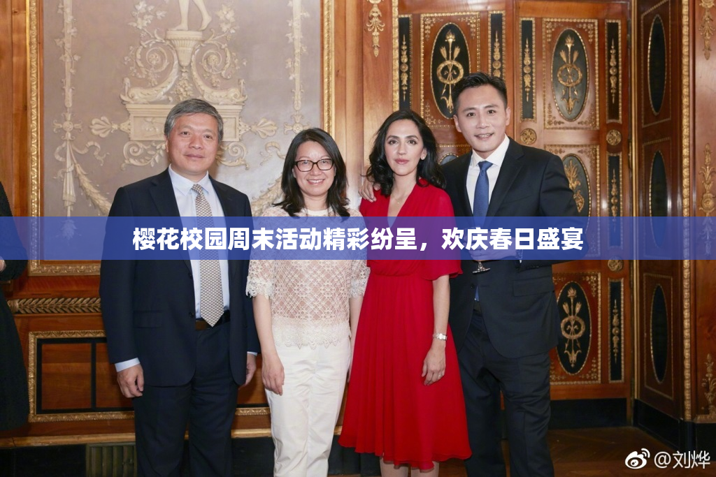 樱花校园周末活动精彩纷呈，欢庆春日盛宴