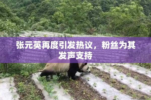张元英再度引发热议，粉丝为其发声支持