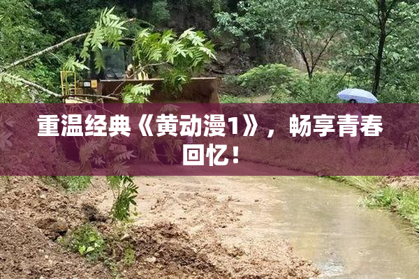 重温经典《黄动漫1》，畅享青春回忆！