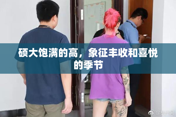 硕大饱满的高，象征丰收和喜悦的季节