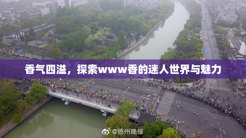 香气四溢，探索www香的迷人世界与魅力