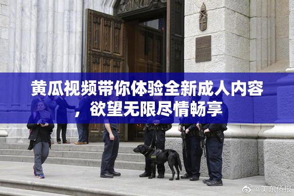 黄瓜视频带你体验全新成人内容，欲望无限尽情畅享