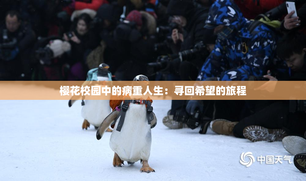 樱花校园中的病重人生：寻回希望的旅程