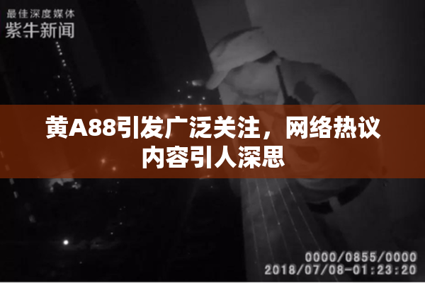 黄A88引发广泛关注，网络热议内容引人深思