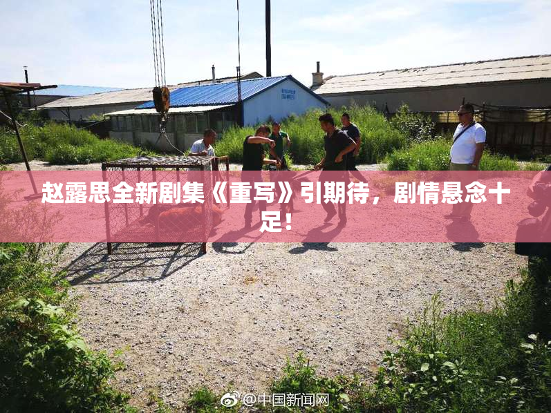 赵露思全新剧集《重写》引期待，剧情悬念十足！