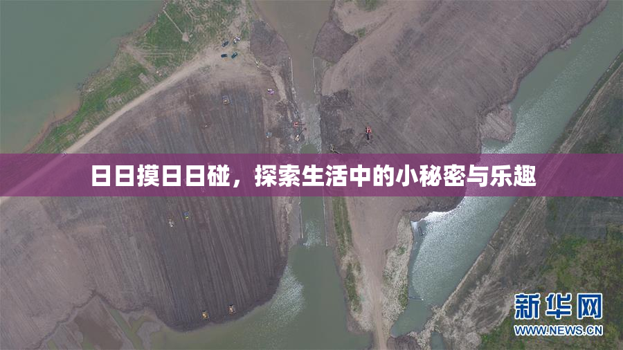 日日摸日日碰，探索生活中的小秘密与乐趣