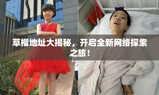 草榴地址大揭秘，开启全新网络探索之旅！
