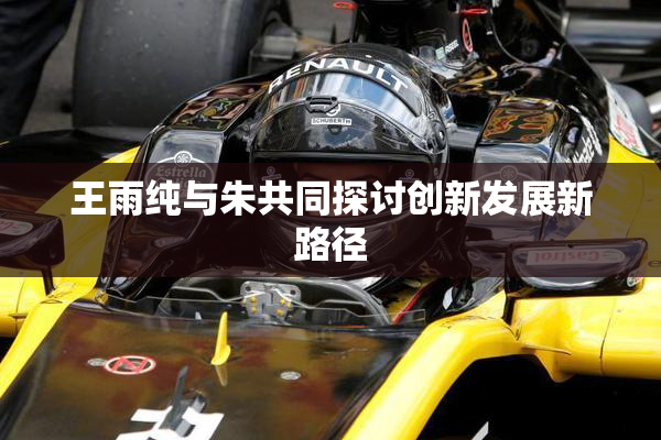 王雨纯与朱共同探讨创新发展新路径
