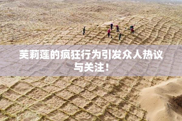 芙莉莲的疯狂行为引发众人热议与关注！