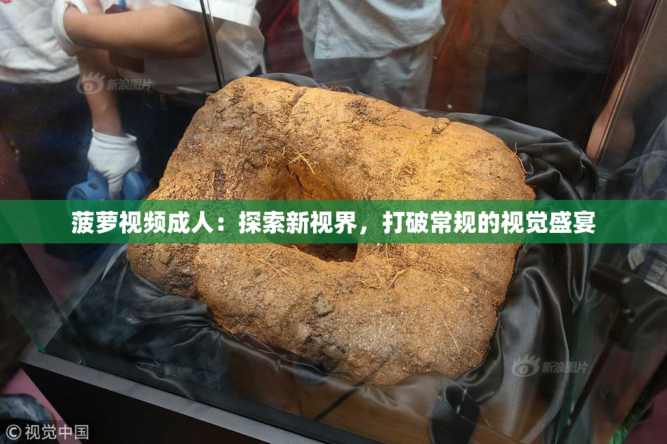 菠萝视频成人：探索新视界，打破常规的视觉盛宴