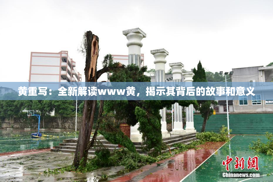 黄重写：全新解读www黄，揭示其背后的故事和意义