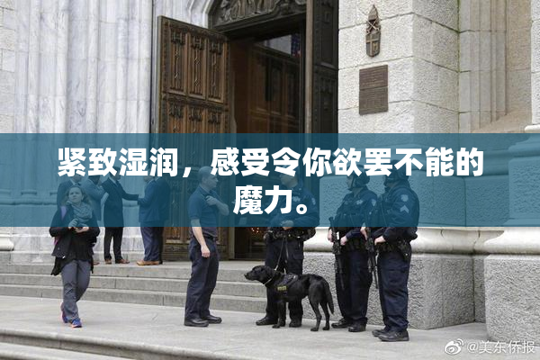 紧致湿润，感受令你欲罢不能的魔力。