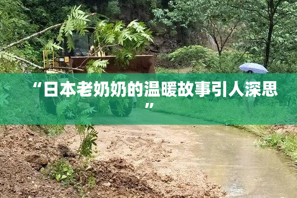 “日本老奶奶的温暖故事引人深思”