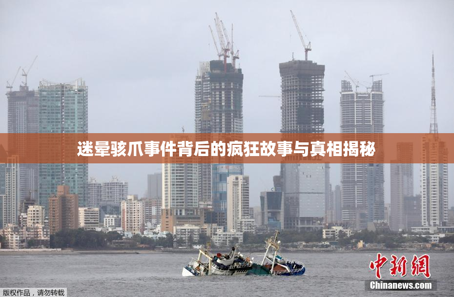 迷晕骇爪事件背后的疯狂故事与真相揭秘