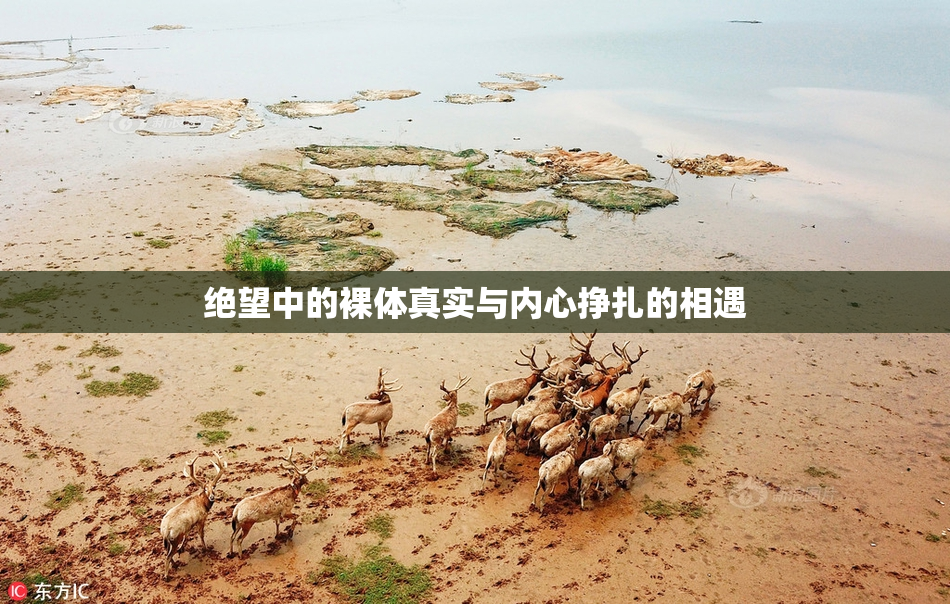 绝望中的裸体真实与内心挣扎的相遇