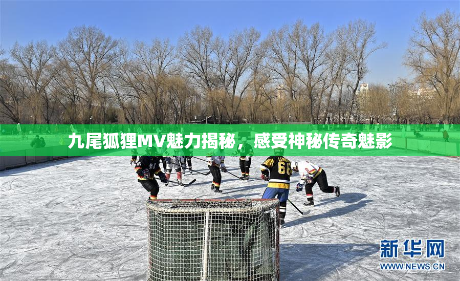 九尾狐狸MV魅力揭秘，感受神秘传奇魅影