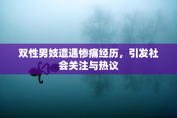双性男妓遭遇惨痛经历，引发社会关注与热议