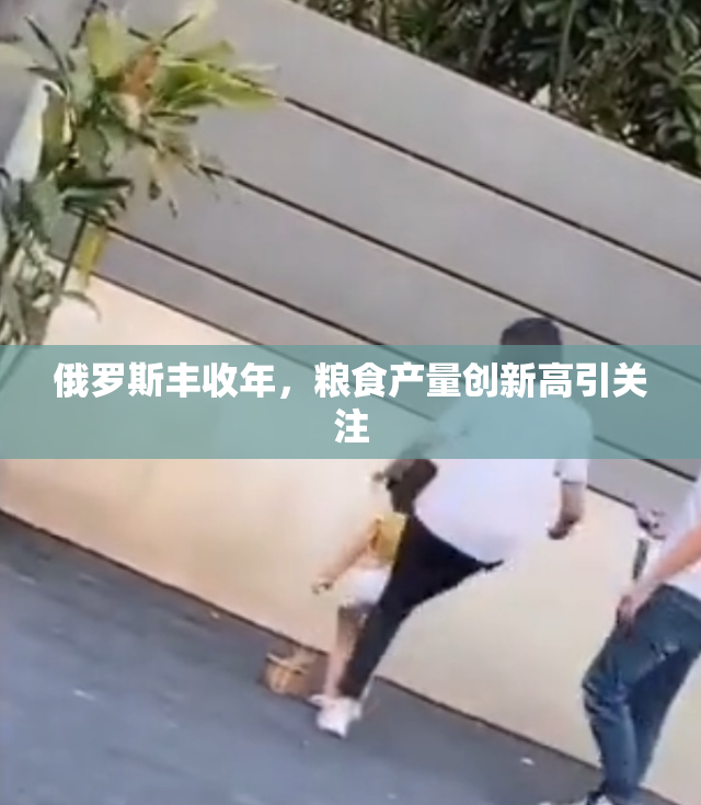 俄罗斯丰收年，粮食产量创新高引关注