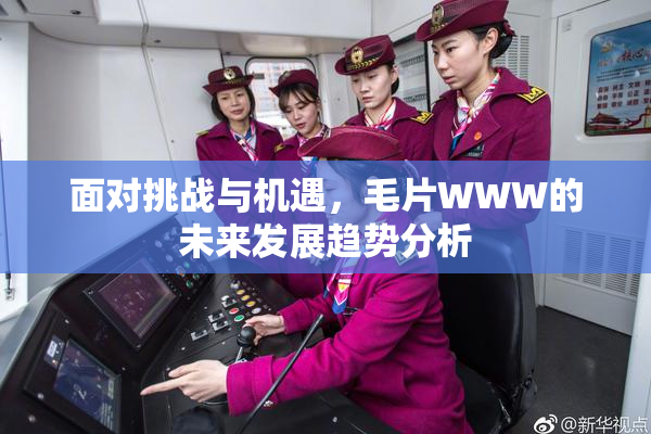 面对挑战与机遇，毛片WWW的未来发展趋势分析