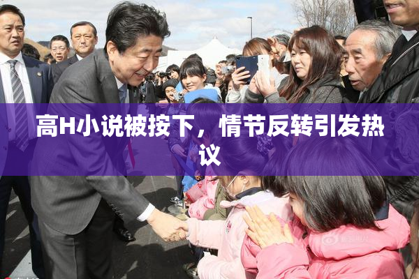 高H小说被按下，情节反转引发热议