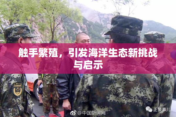 触手繁殖，引发海洋生态新挑战与启示