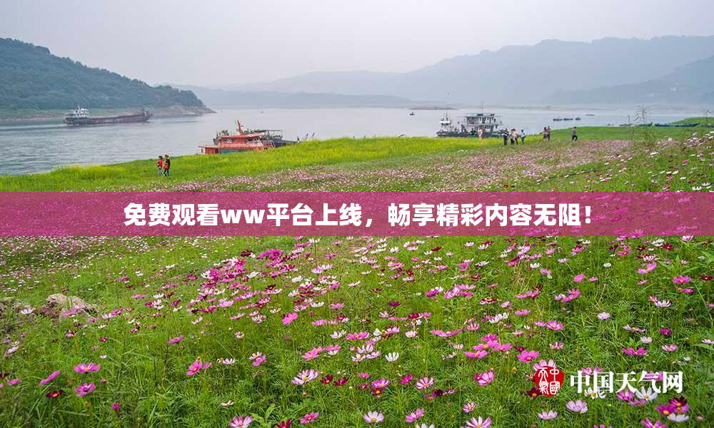 免费观看ww平台上线，畅享精彩内容无阻！