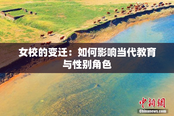 女校的变迁：如何影响当代教育与性别角色