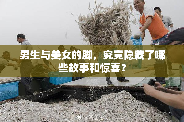 男生与美女的脚，究竟隐藏了哪些故事和惊喜？
