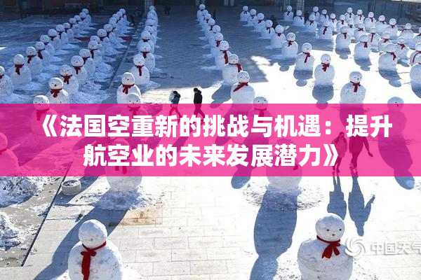 《法国空重新的挑战与机遇：提升航空业的未来发展潜力》