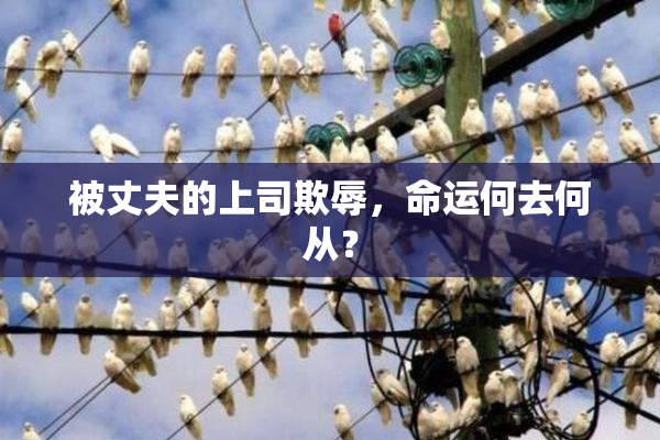 被丈夫的上司欺辱，命运何去何从？
