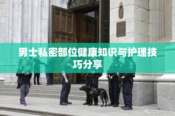 男士私密部位健康知识与护理技巧分享