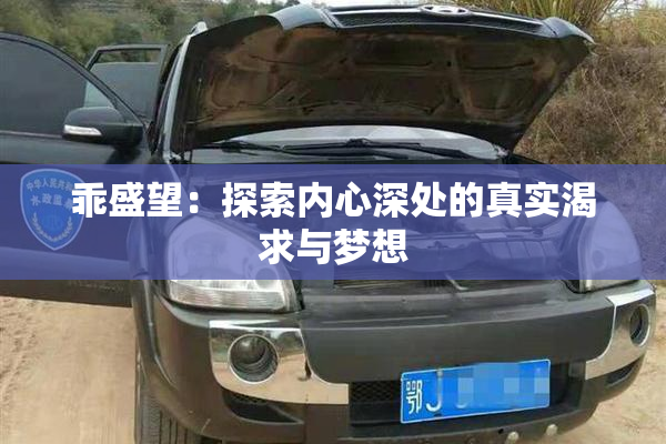 乖盛望：探索内心深处的真实渴求与梦想